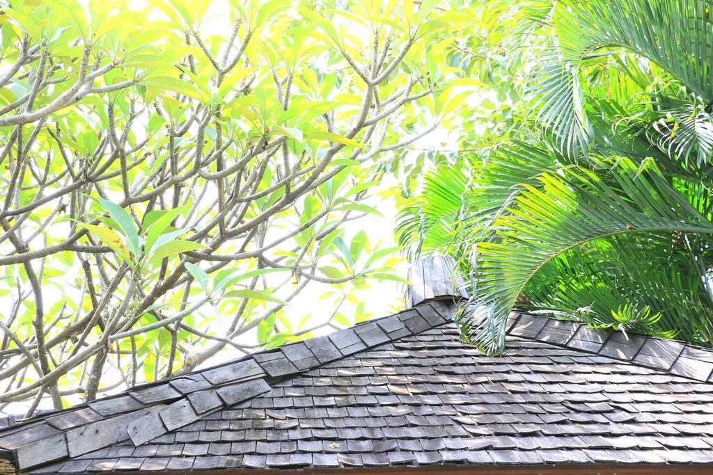 Nike Villas Sanur Zewnętrze zdjęcie